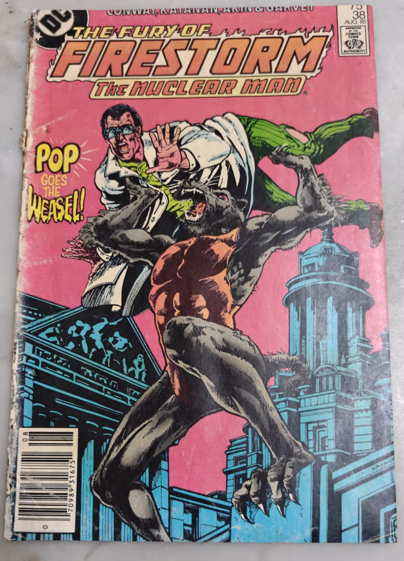 Night of the Weasel - The Fury of Firestrom - Vintage DC Comics