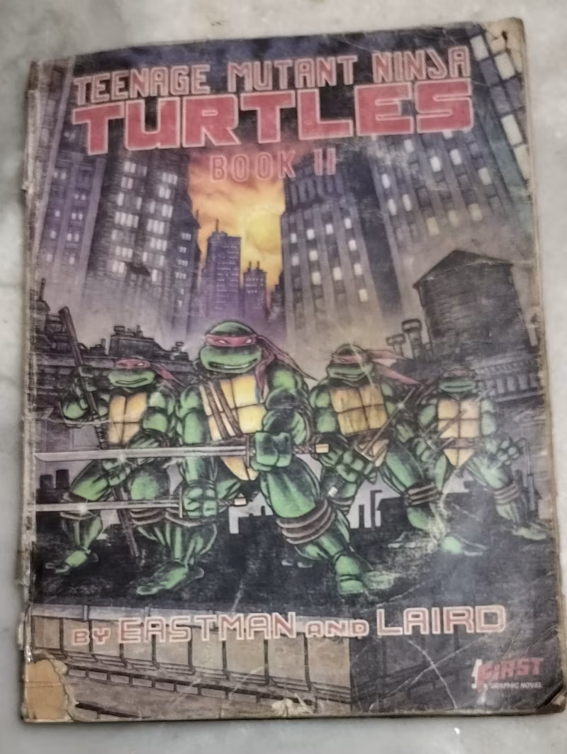 Teenage Mutant Ninja Turtles Book II