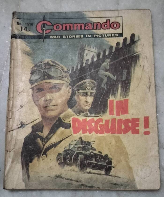 In Disguise