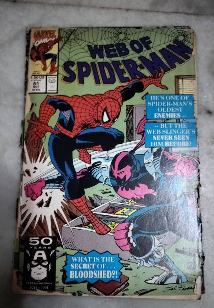 Web of Spider-Man