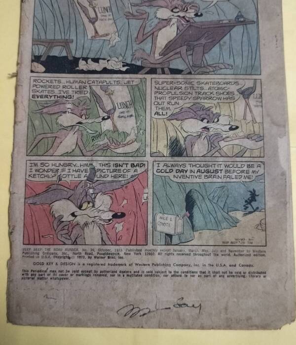 Beep Beep the Road Runner