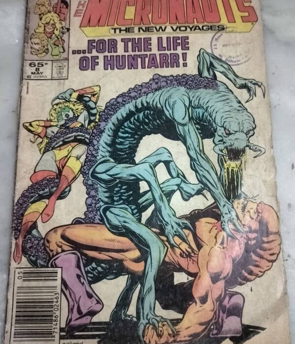 Death and Transfiguration - "micronauts"