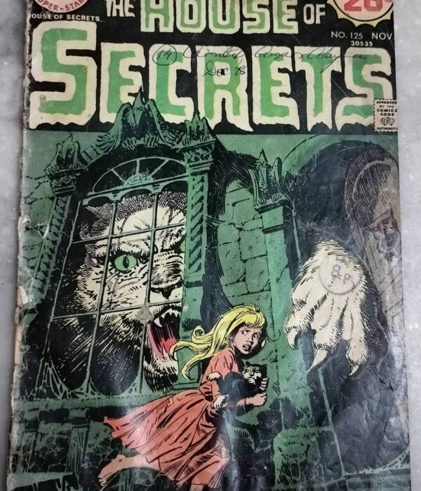 Catch As Cats Can - The House of Secrets