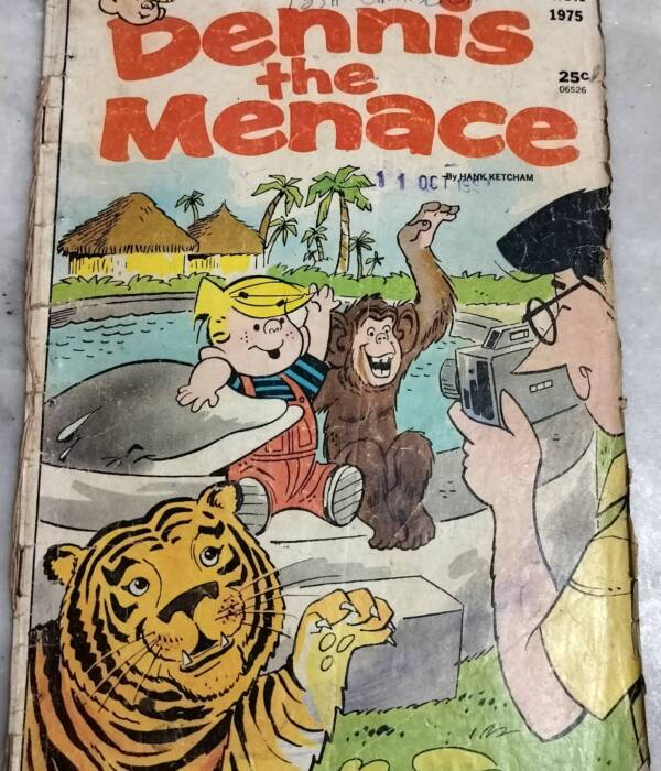 Going Wild - Dennis the Menace